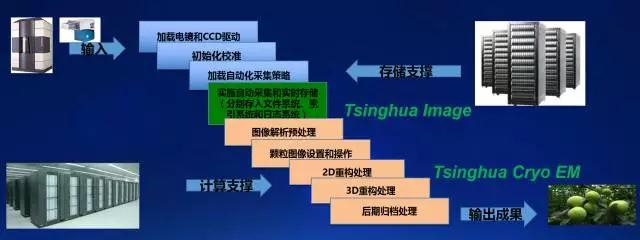 醫療數據報告