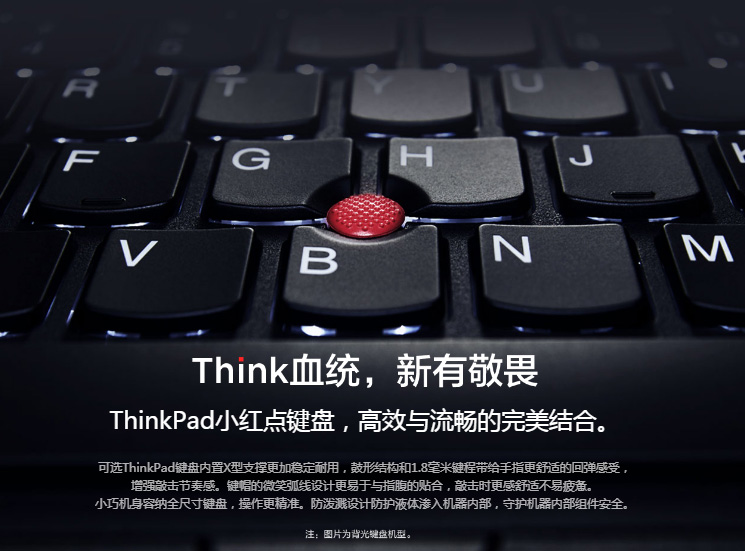 聯想ThinkPadT495
