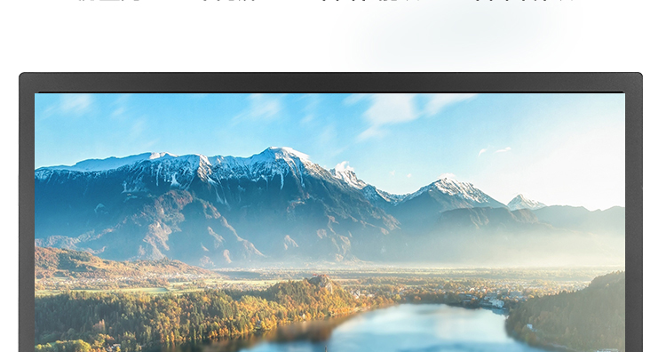 聯想ThinkVision T2224d顯示器