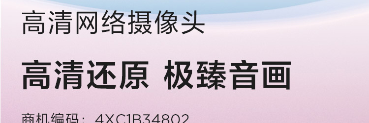 Lenovo Essential 高清網絡攝像頭 (4XC1B34802)