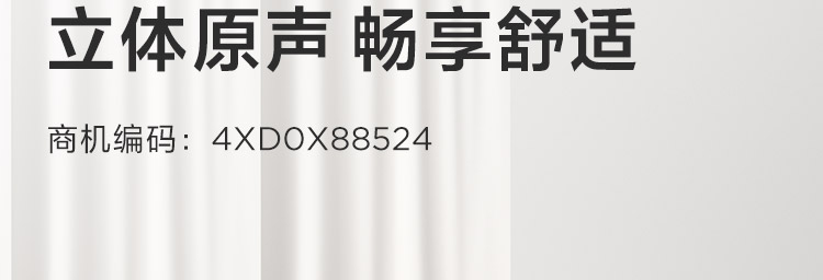 聯想100立體聲USB耳麥 (4XD0X88524)
