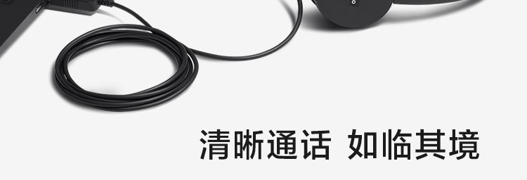 聯想100立體聲USB耳麥 (4XD0X88524)