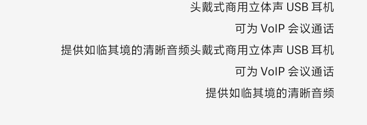 聯想100立體聲USB耳麥 (4XD0X88524)