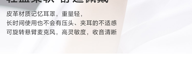 聯想100立體聲USB耳麥 (4XD0X88524)