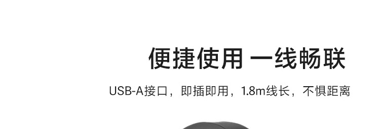 聯想100立體聲USB耳麥 (4XD0X88524)