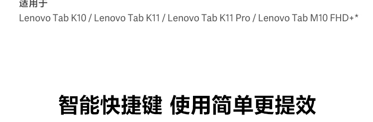 聯想觸控手寫筆 (4X80N95873)