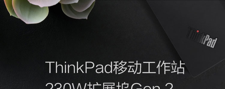 ThinkPad移動工作站230W擴展塢Gen 2 (40ANY230CN)