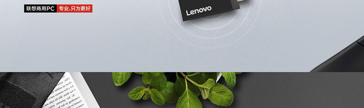 Lenovo HDMI轉VGA轉換器 (GX90Q17292)