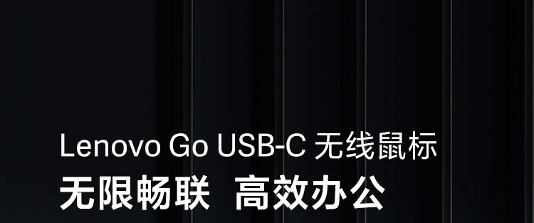 Lenovo Go USB-C 無線鼠標 (4Y51C21216)