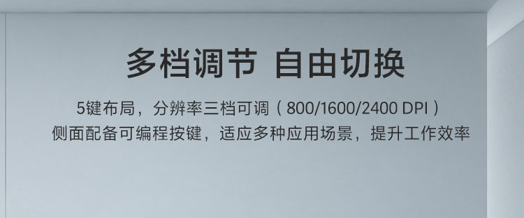 Lenovo Go USB-C 無線鼠標 (4Y51C21216)